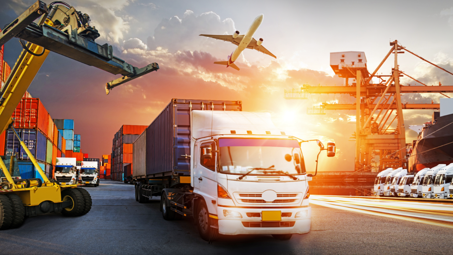 Customs & Compliance Expertise